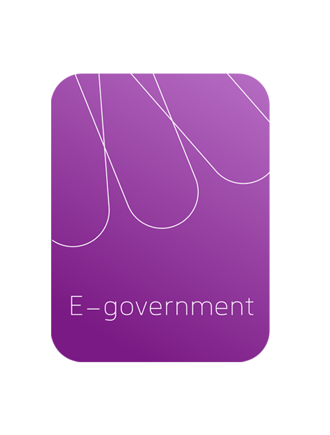 E-government