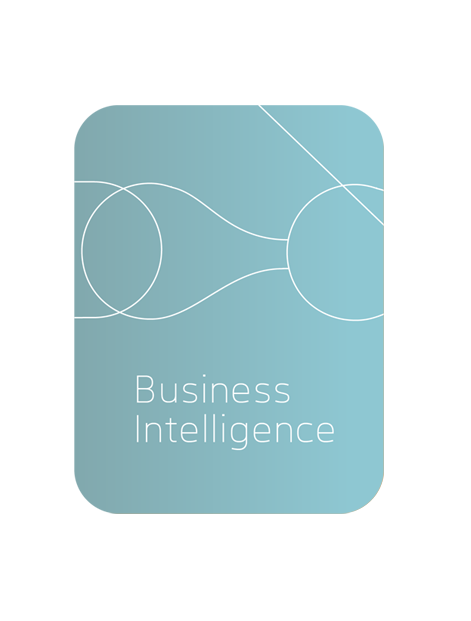 Business Intelligence